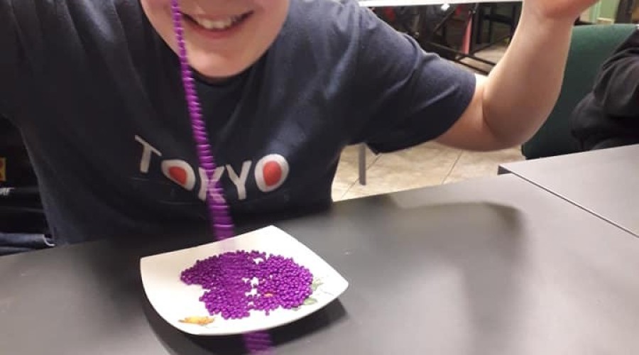 ferie w sztutowie (10)