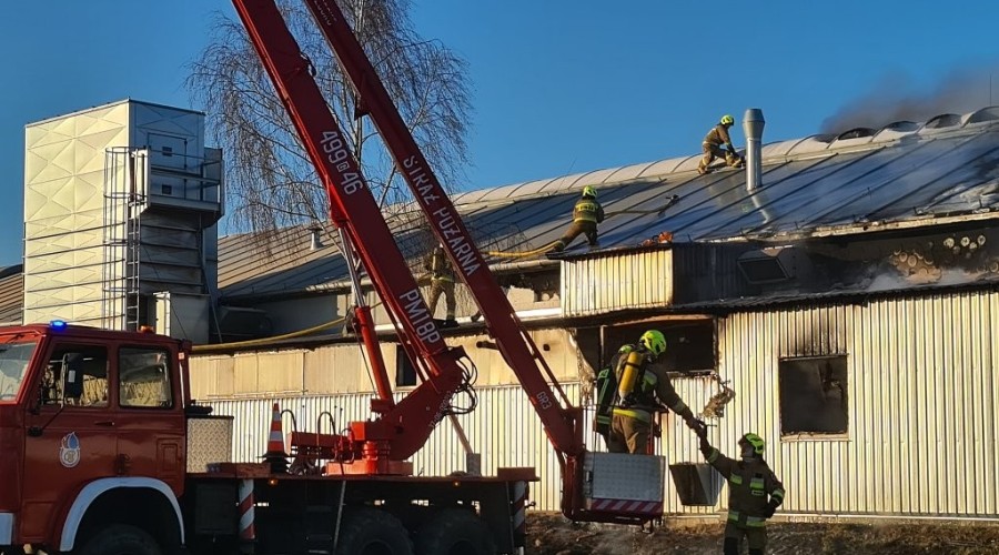 pożar nowy dwór gd  (22)