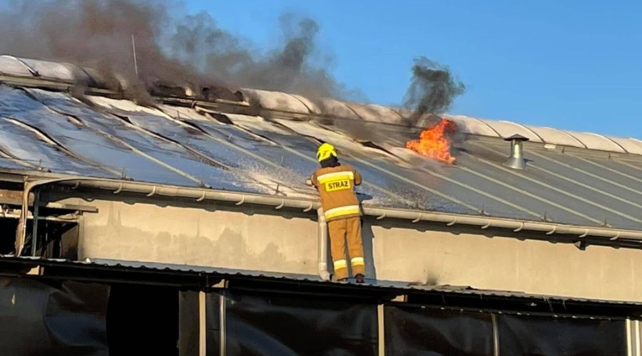 pożar nowy dwór gd  (24)