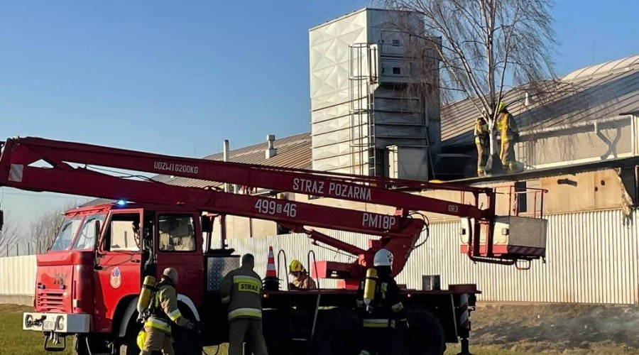 pożar nowy dwór gd  (3)