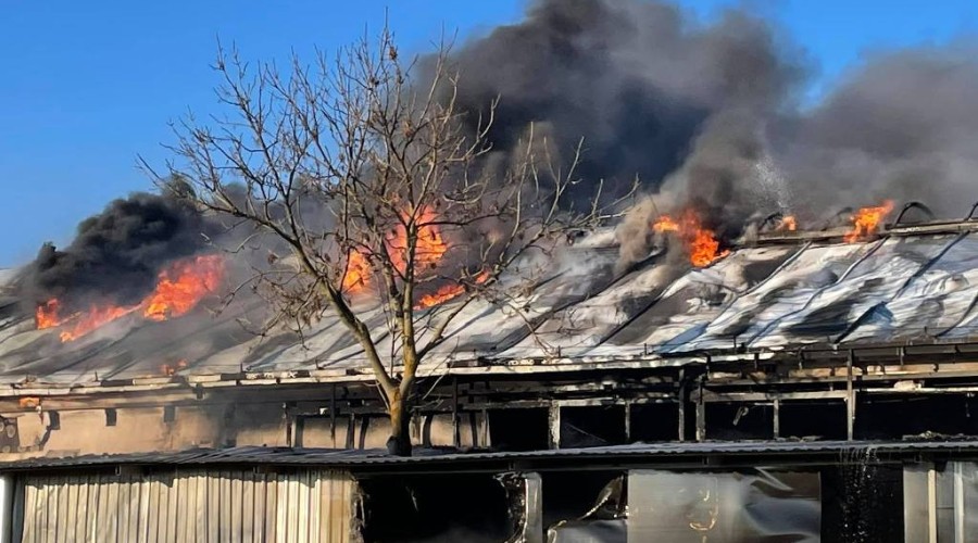 pożar nowy dwór gd  (35)