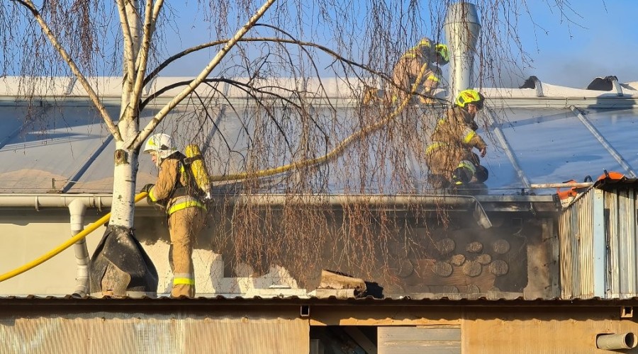pożar nowy dwór gd  (36)