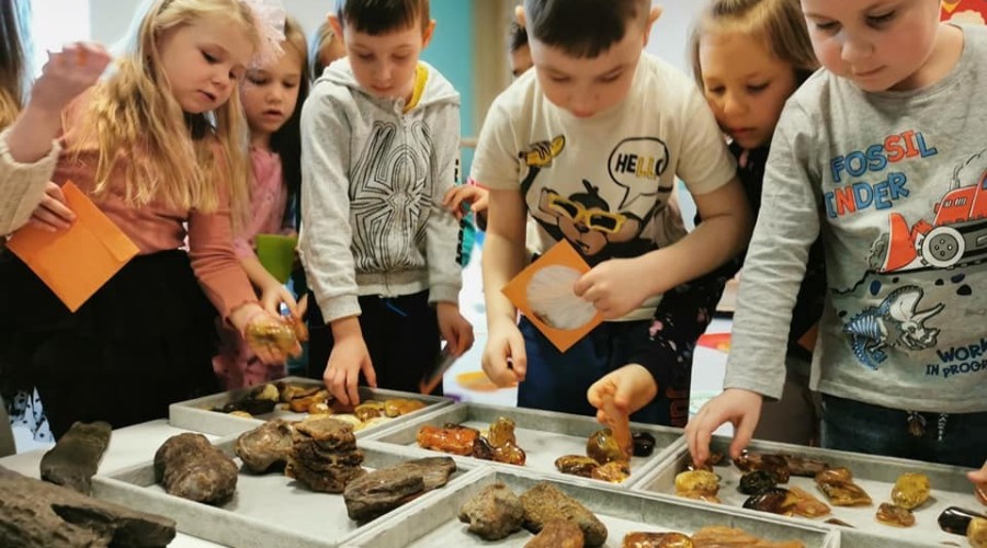 Tomasz ołdziejewski przedszkole europejczyk elbląg (2)