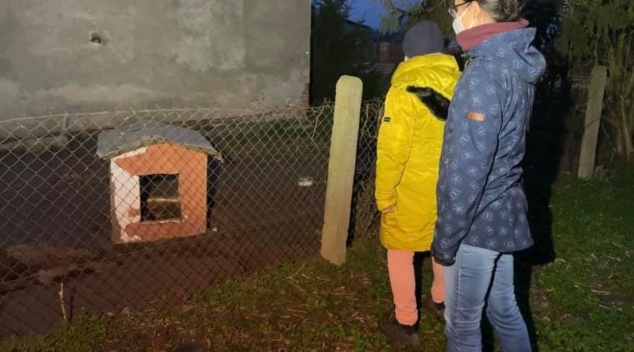 interwencja reks malbork (8)