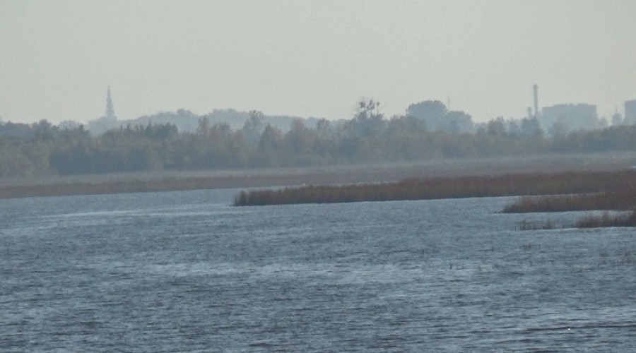 port elbląg28
