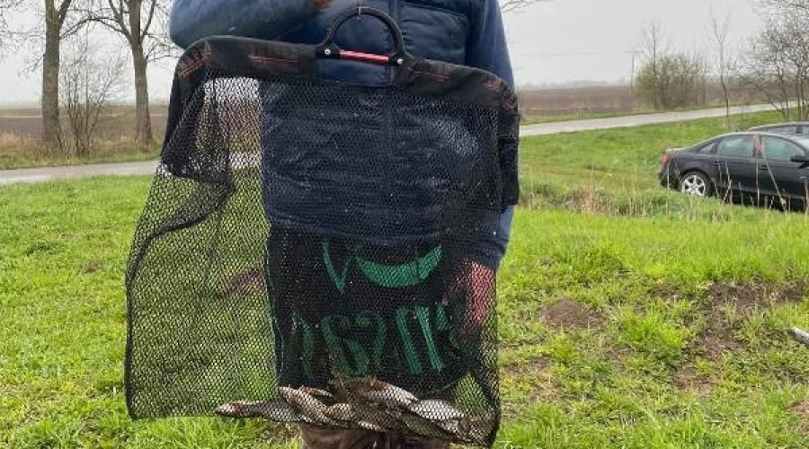 182658602_10218374980270631_6297318784554094208_n