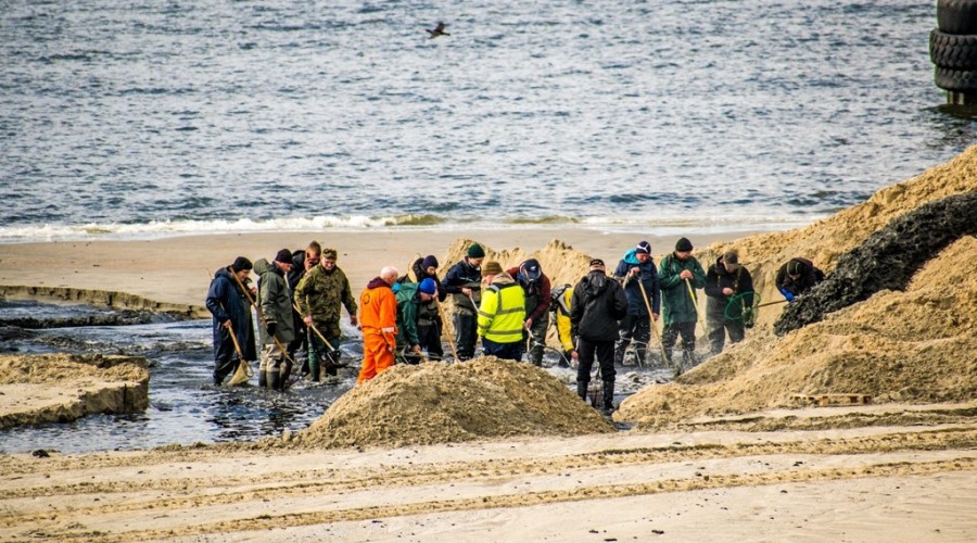 bursztynowa gorączka przekop mierzei wiślanej (1)