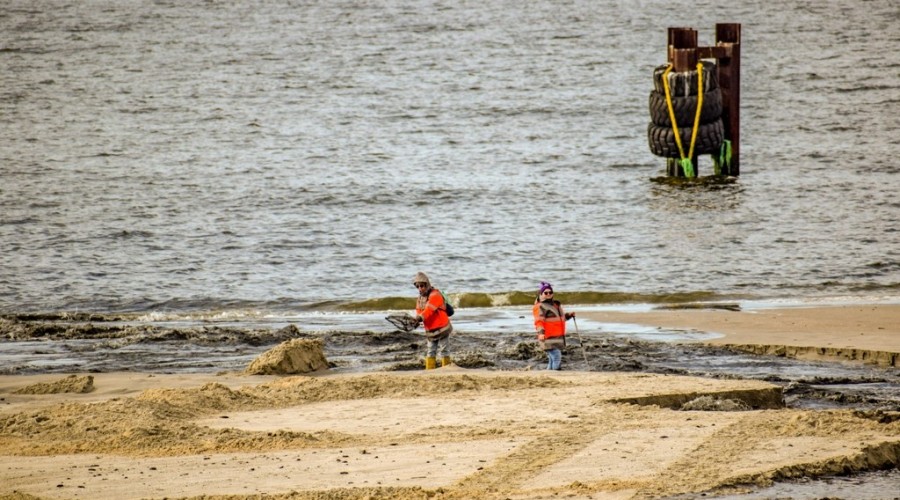bursztynowa gorączka przekop mierzei wiślanej (4)