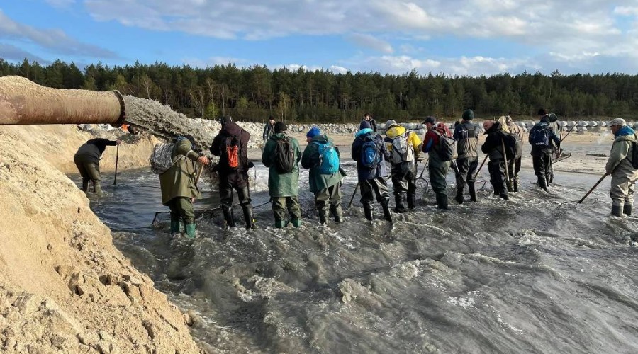bursztynowa gorączka przekop0105