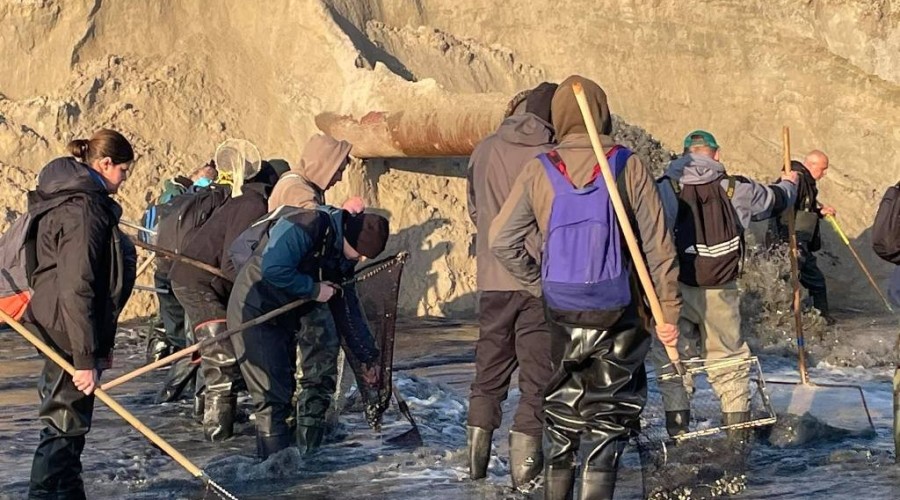 bursztynowa gorączka przekop0112