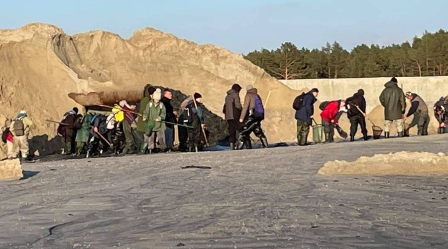 bursztynowa gorączka przekop0115