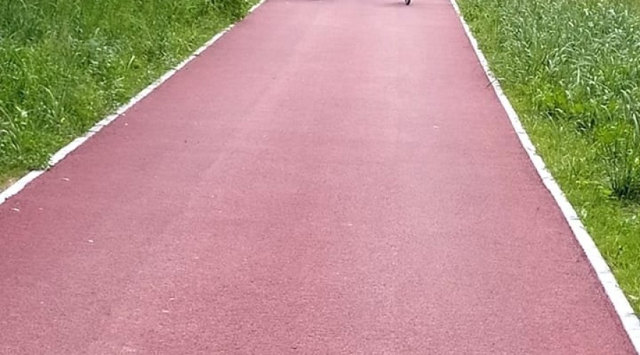 Ścieżka rowerowa stegna (14)