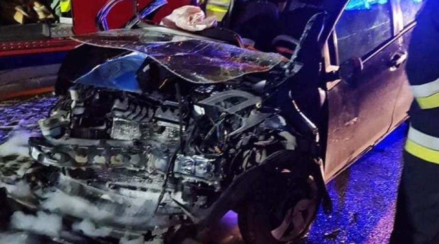 214323695_3988633524565428_6854357044859638318_n