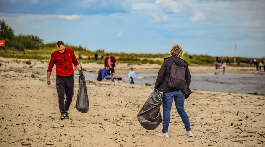 sprzątanie mewiej łachy11