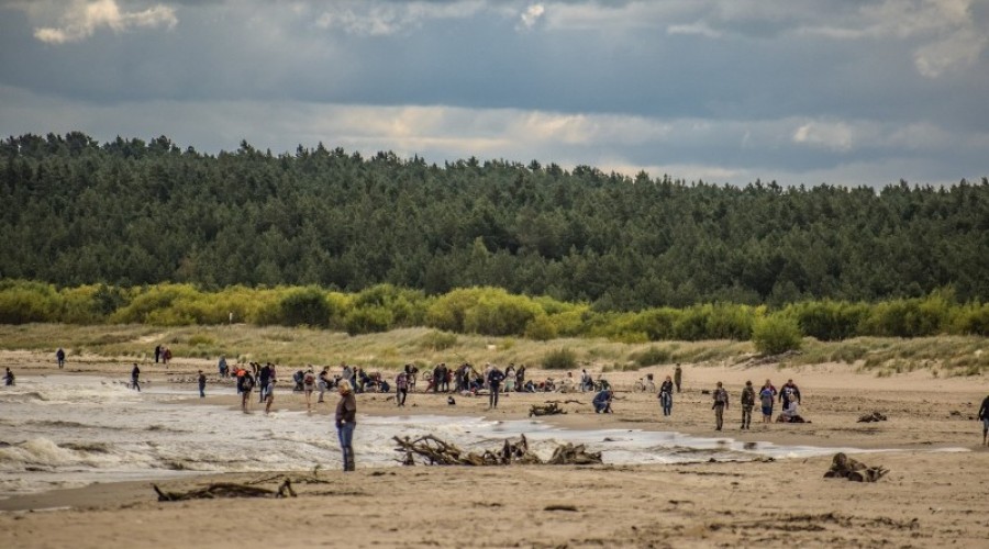 sprzątanie mewiej łachy28