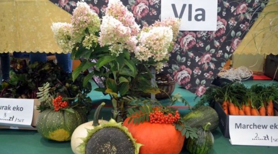 piknik sztutowo (1)