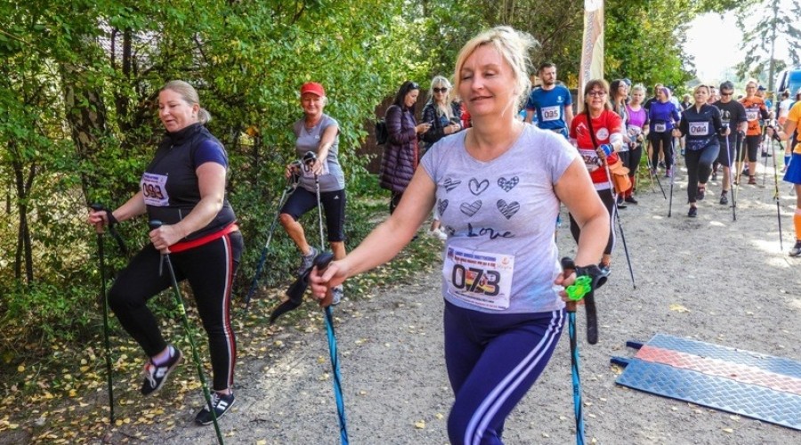 laury bałtyku w Jantarze32