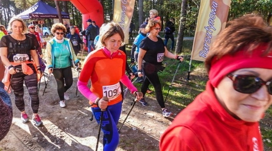 laury morza baltyckiego mikoszewo (11)