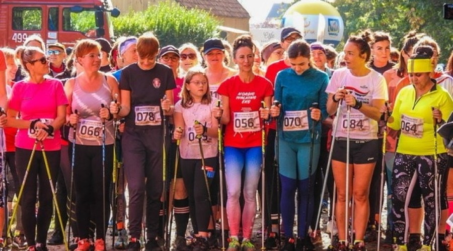 laury morza baltyckiego mikoszewo (15)