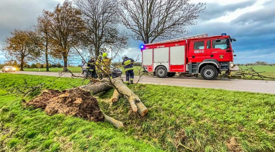 powiat nowodworski wichura (2)