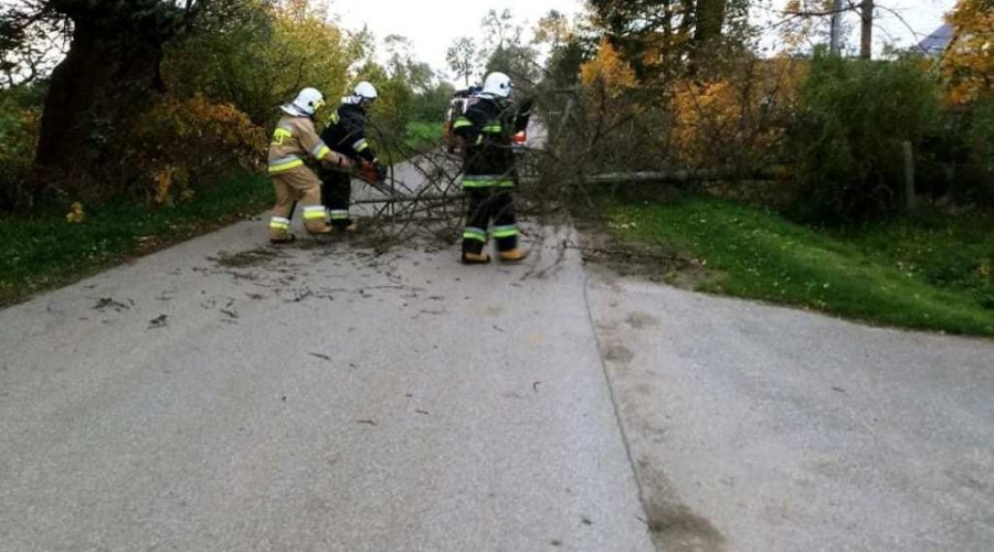 powiat nowodworski wichura (8)