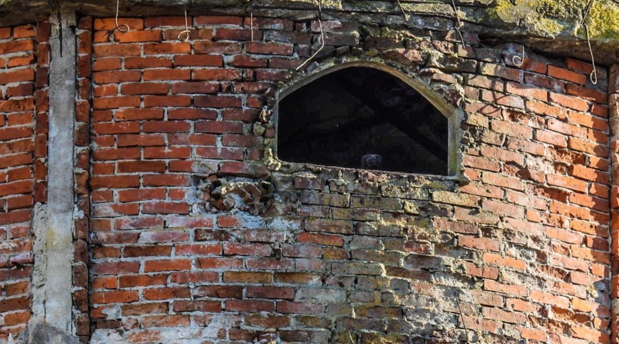 Nowy Dwór Gd. Zabytkowa wieża ciśnień (8)