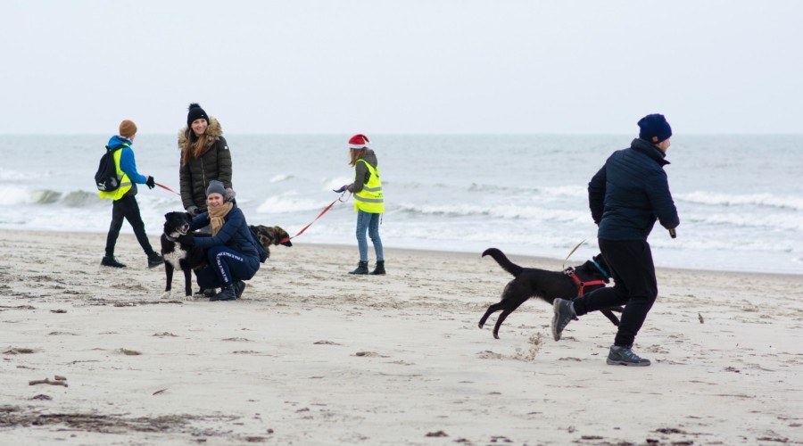 Foto. Stowarzyszenie Iskierka