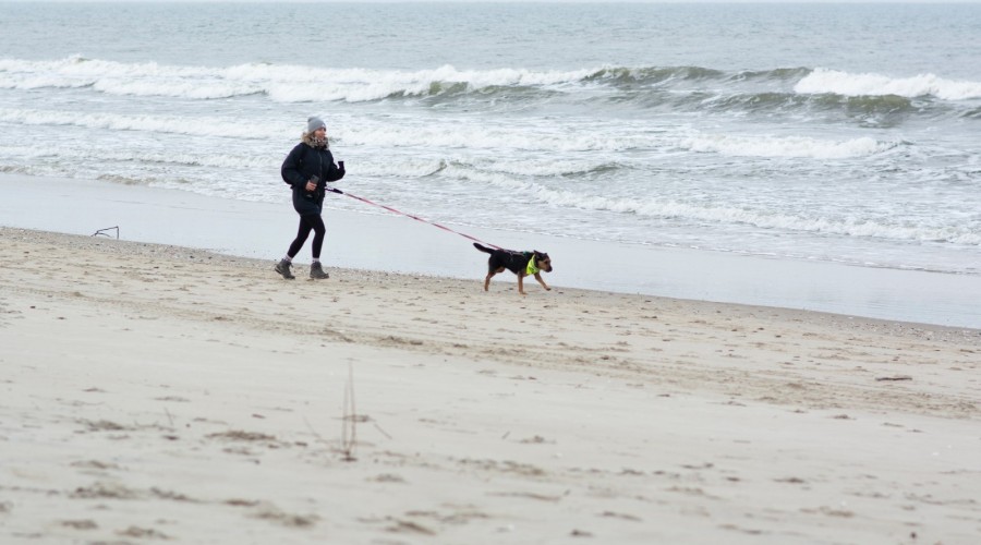Foto. Stowarzyszenie Iskierka