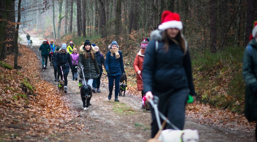 Foto. Stowarzyszenie Iskierka