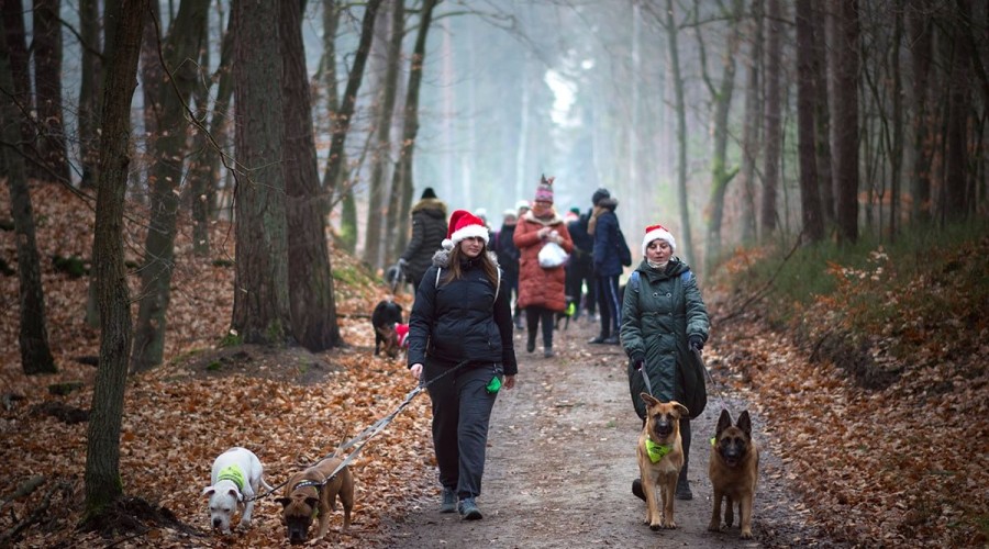 Foto. Stowarzyszenie Iskierka
