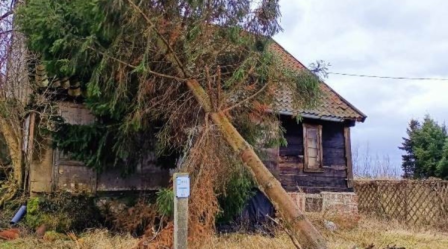 wiatr, interwencje straży15