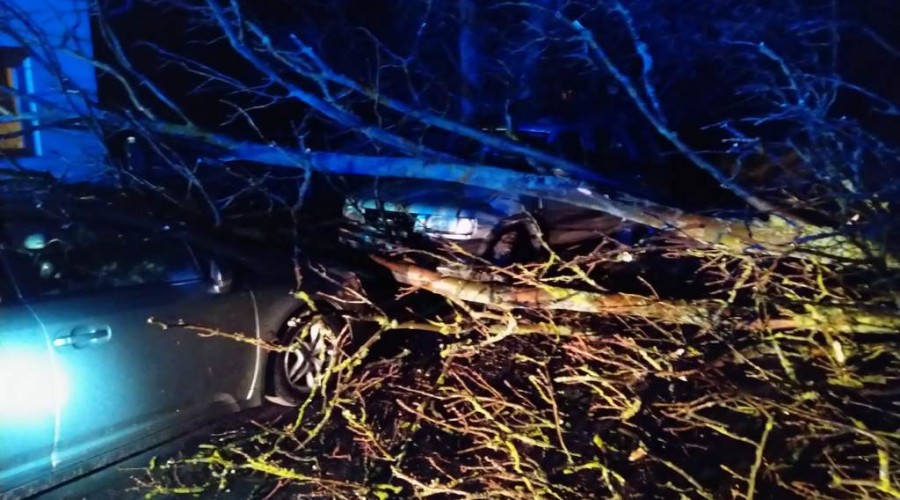 wiatr powalone drzewa powiat nowodworski wichura (12)