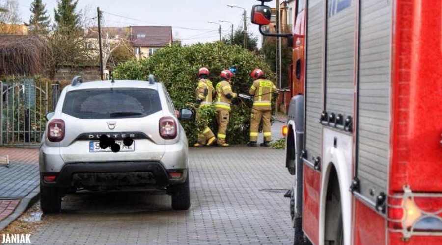 Powiat Nowodworski. Strażacy mieli pełne ręce roboty (1)