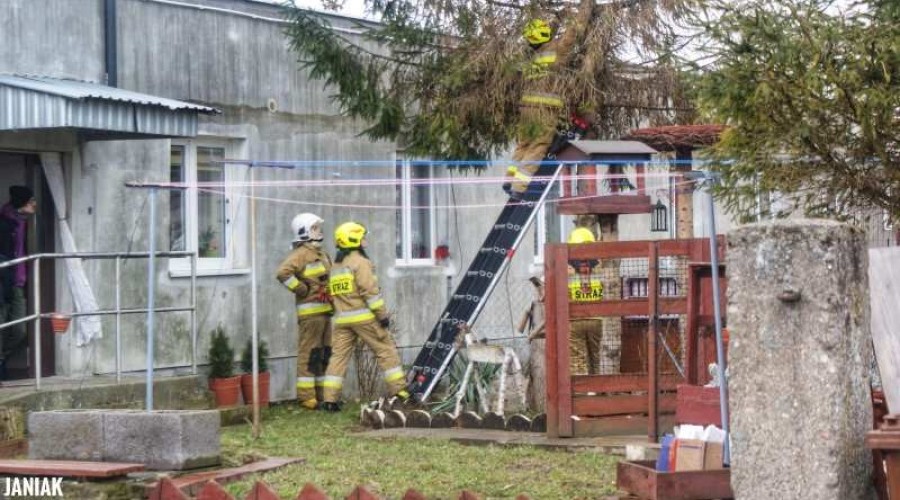 Powiat Nowodworski. Strażacy mieli pełne ręce roboty (10)