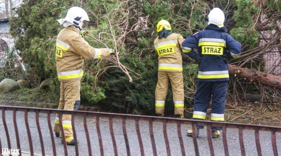 Powiat Nowodworski. Strażacy mieli pełne ręce roboty (12)