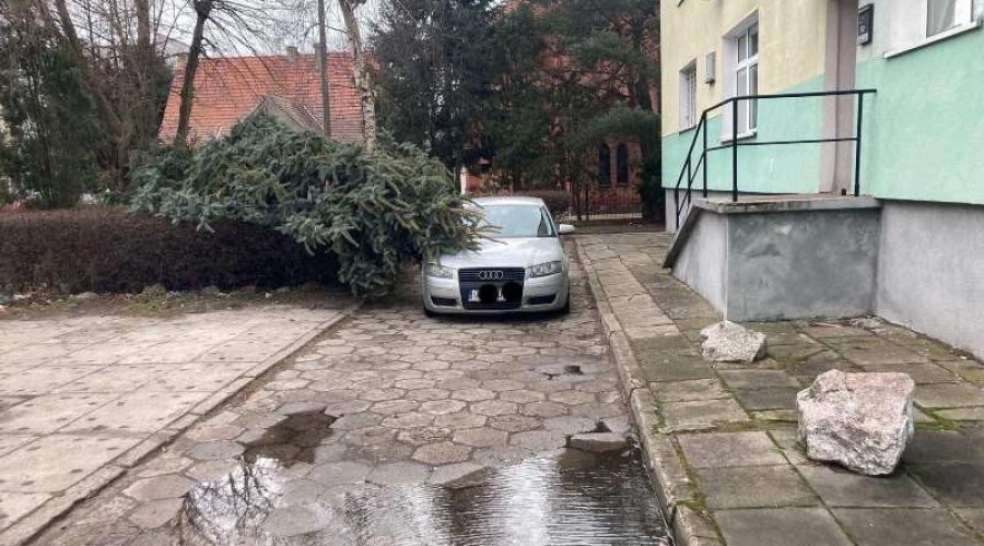 Powiat Nowodworski. Strażacy mieli pełne ręce roboty (2)