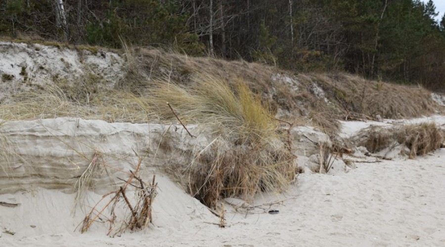 sztutowo plaża (7)_edited