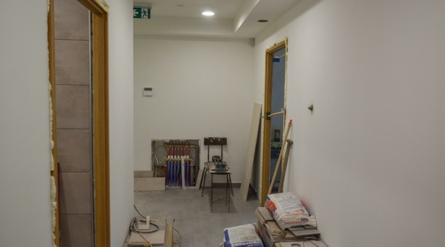 Drewnica szkarpawianka0108