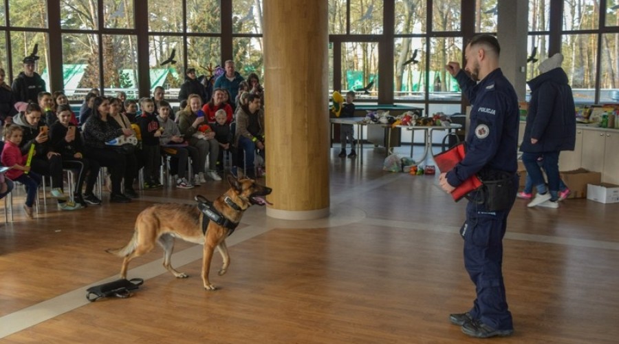 olicjanci dla dzieci mikoszewo (6)