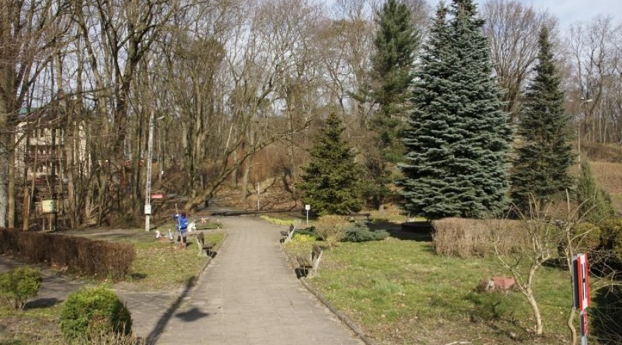 Park kuracyjny w Krynicy Morskiej 2
