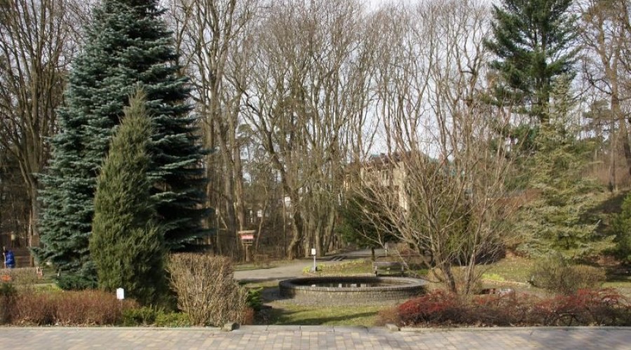 Park kuracyjny w Krynicy Morskiej 4