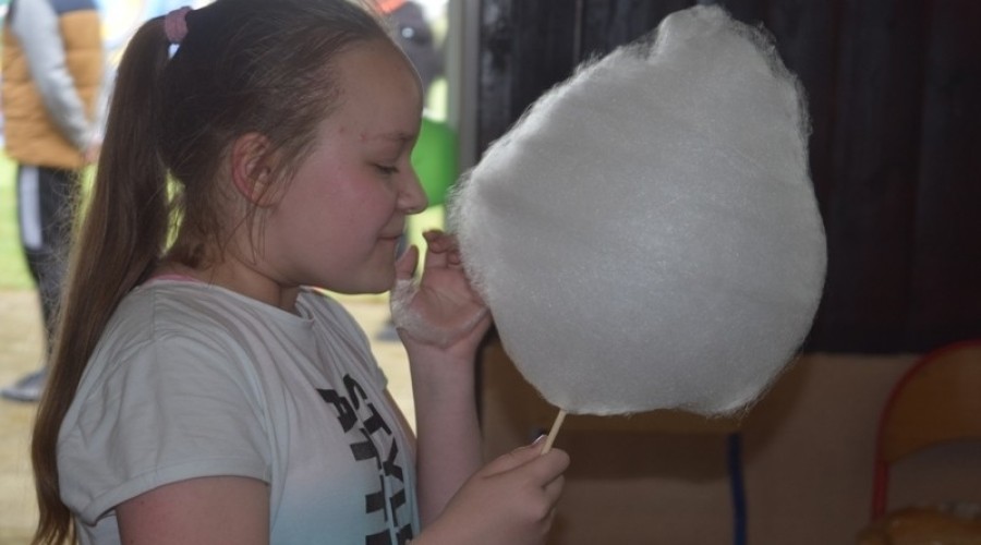 dzień rodzicielstwa zastepczego nowy dwór gd (55)