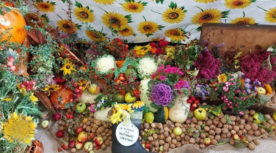 bitwa regionow stare pole01