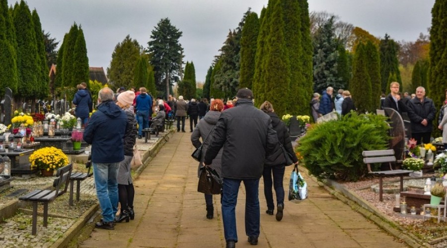 1 listopada powiat nowodworski09