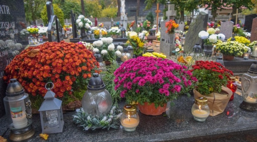 1 listopada powiat nowodworski41