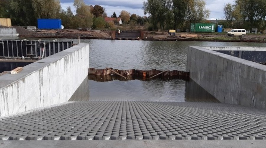 Rzeka Elbląg - zajście dla zwierząt -brzeg zachodni