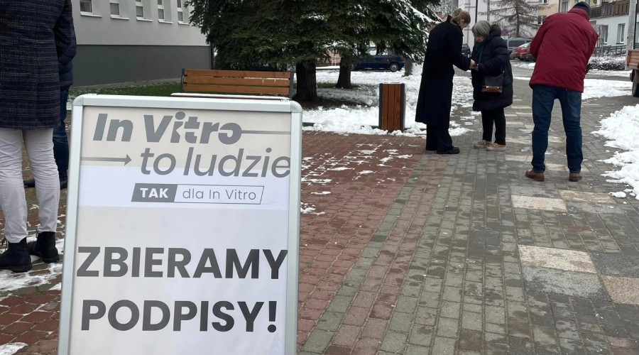 in vitro nowy dwór gd (8)