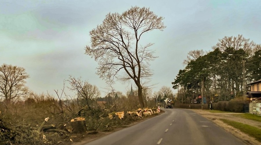 remont drogi 501 mierzeja (3)