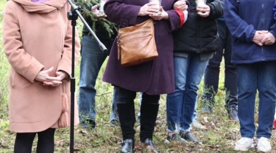 zastrzeleni w lesie muzeum stutthof08