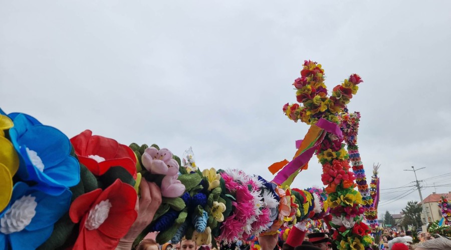 mieszkancy wyjechali na kurpie (13)